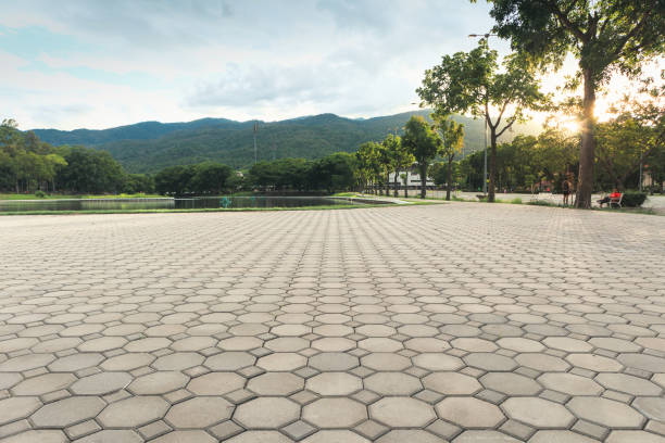 Best Local Driveway Pavers  in Higginsville, MO