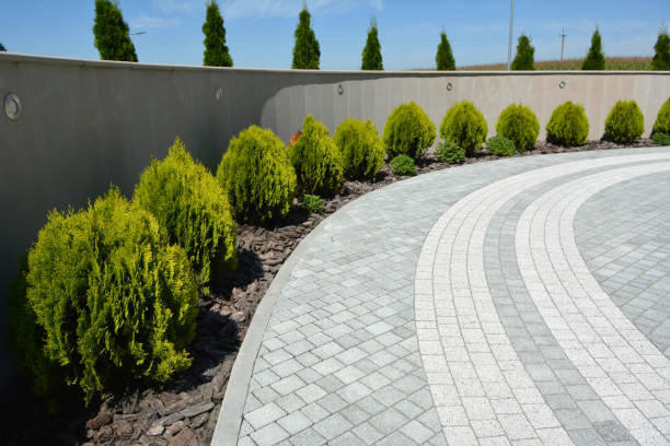 Best Driveway Paver Repair  in Higginsville, MO